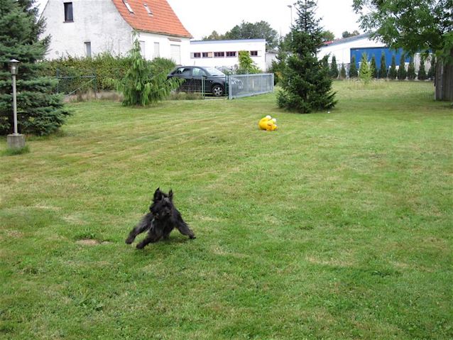 IMG_0544.jpg