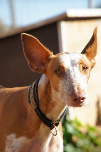 JASMIN_WhatsApp Image 2018-11-25 at 12.10.06.jpg