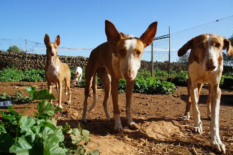 Gruppe_WhatsApp Image 2018-11-25 at 12.52.55.jpg