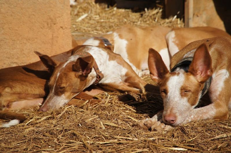 Gruppe_WhatsApp Image 2018-11-25 at 12.52.56(1).jpg