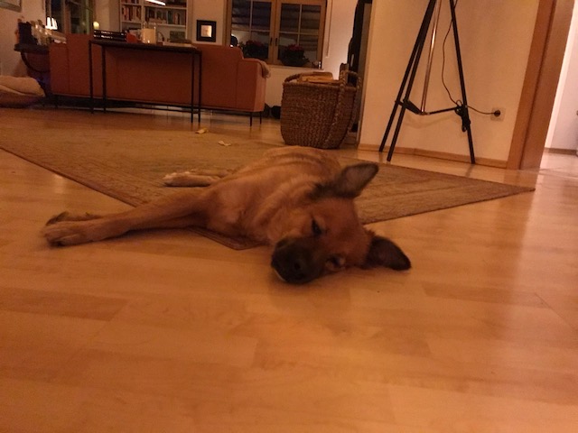 IMG_0031.jpeg