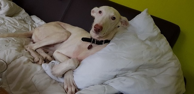 20181224_100208_resized (2).jpg