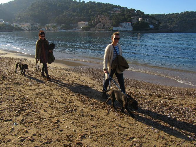soller2.jpg