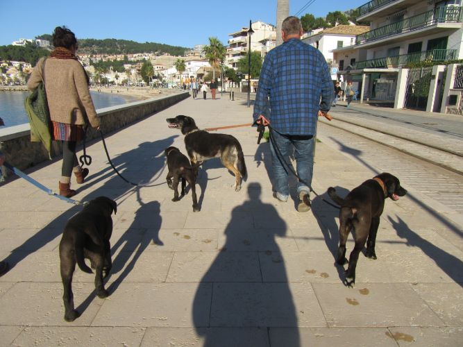 spaziergang.jpg