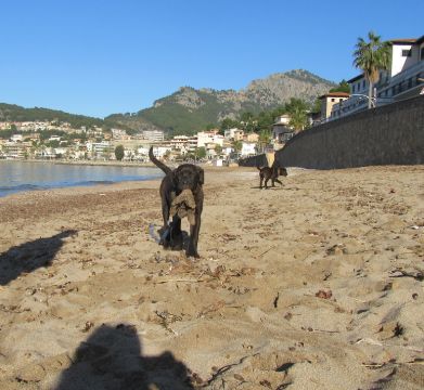 soller5.jpg