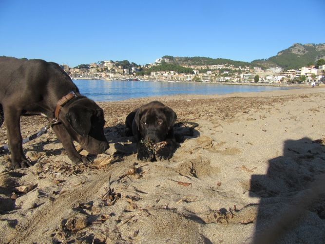 soller2.jpg