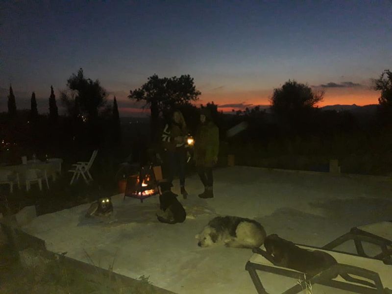 Grillen klein.jpg
