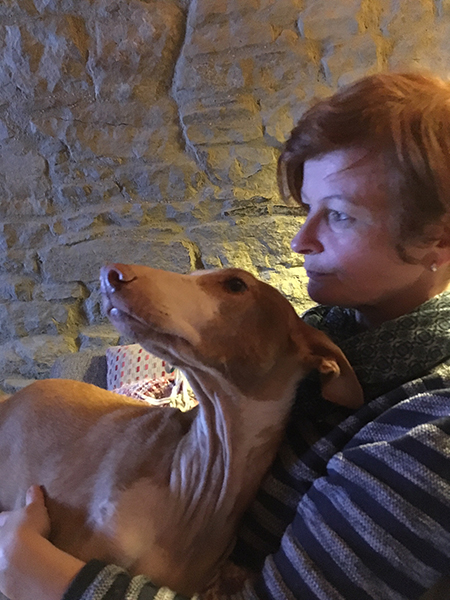 Schosshund.jpg