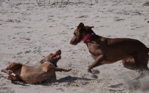 Beach5.jpg