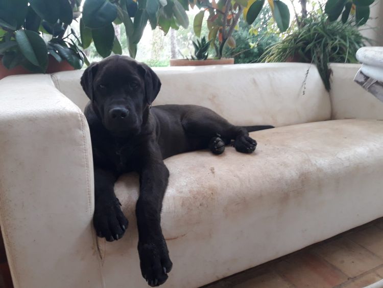 Sofa small.jpg