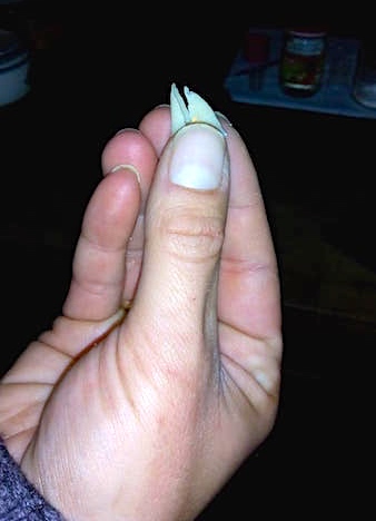 HUHN4.jpg