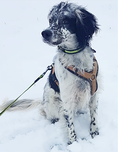 MOMO_OSBORN_Schnee1.jpg