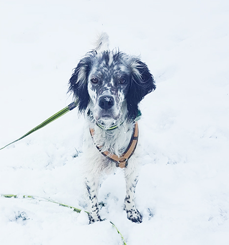 MOMO_OSBORN_Schnee2.jpg