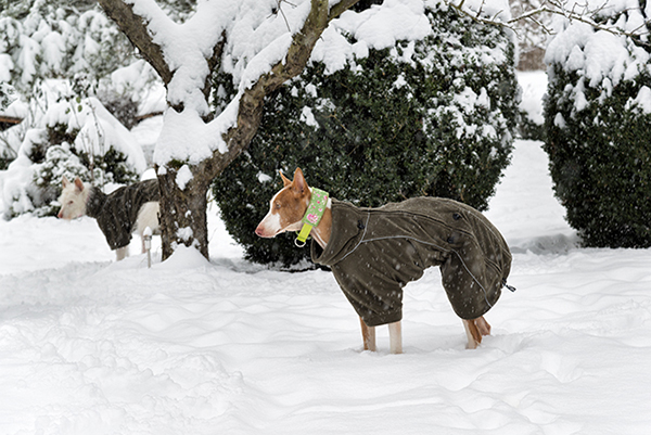 Schnee_2019_15.jpg
