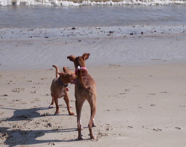 Beach4.jpg