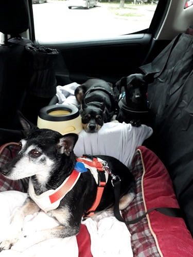 IMG-20180723-WA0017.jpg