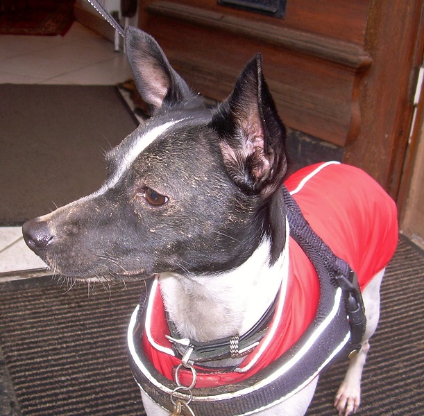 DSCN8121.JPG