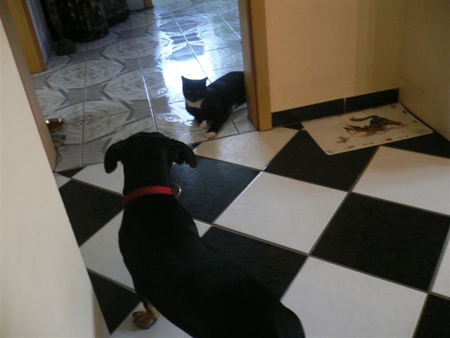 test 038.jpg
