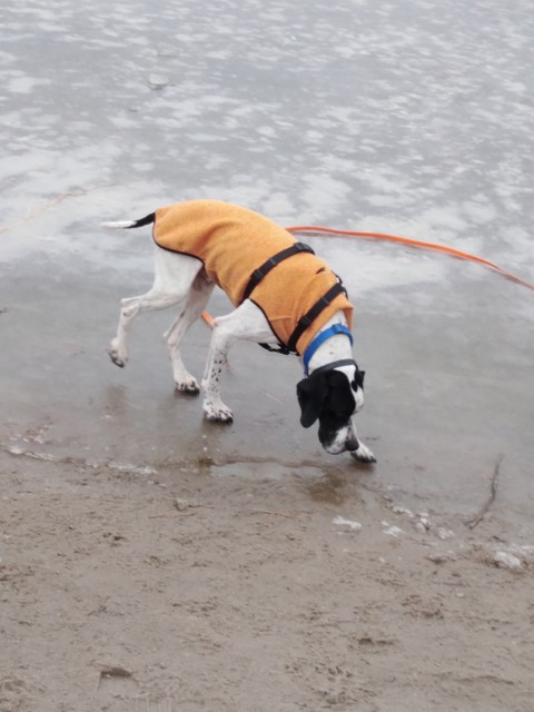 IMG_20190205_142733-640x640.jpg