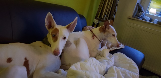 20190213_171936.jpg