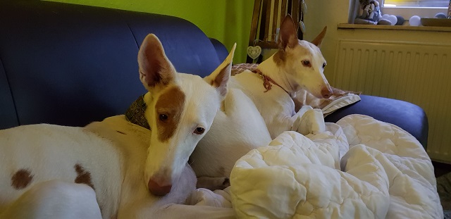 20190213_171954.jpg