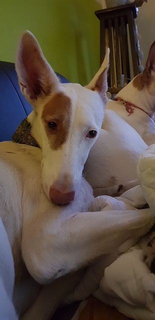 20190213_172001.jpg