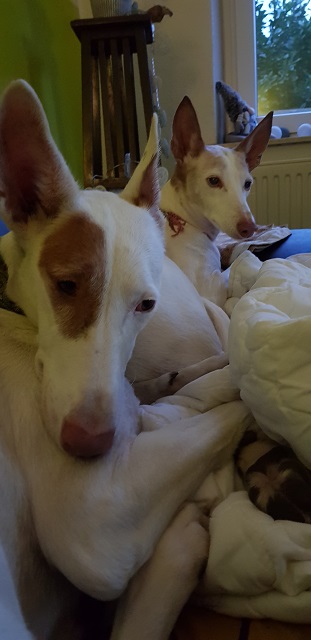 20190213_172217.jpg