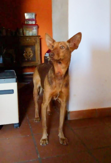 Alice5c467210-f949-4c60-980c-572ed1fe0074.jpg