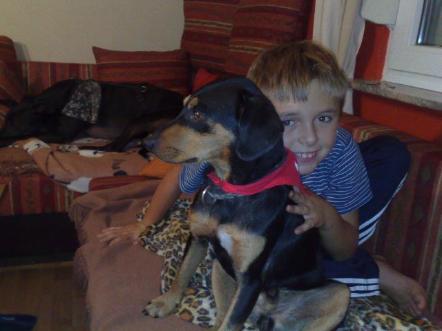 toby_580_640x480.jpg