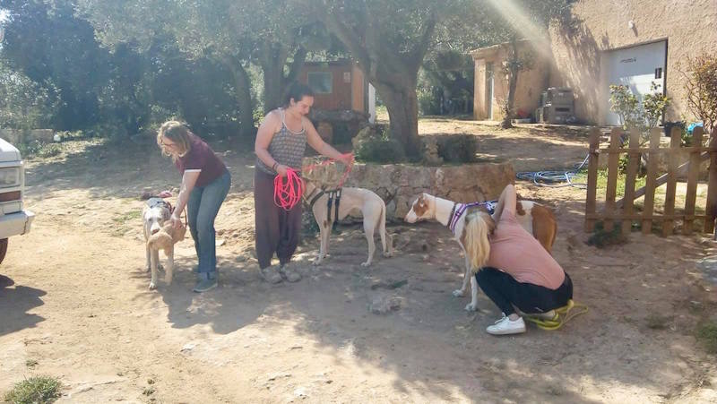 FINCA4.jpg