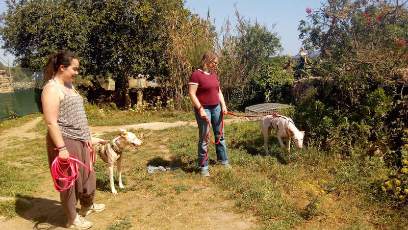 FINCA7.jpg