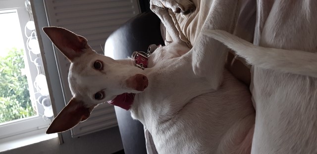 20190405_142514.jpg