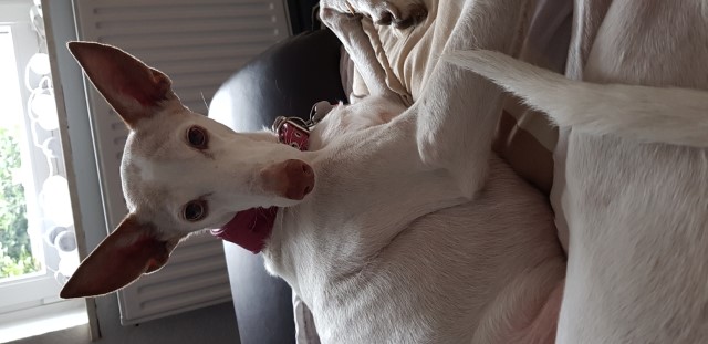 20190405_142516.jpg