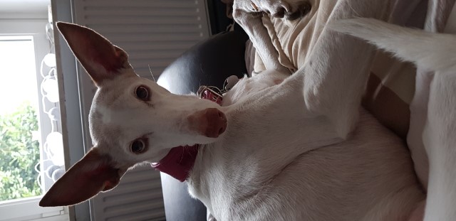 20190405_142518.jpg