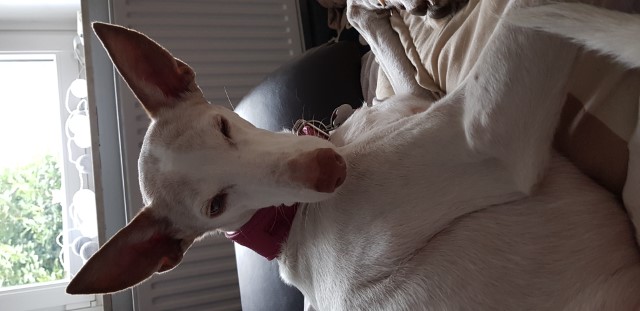 20190405_142520.jpg
