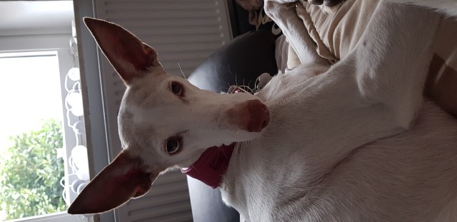 20190405_142523.jpg