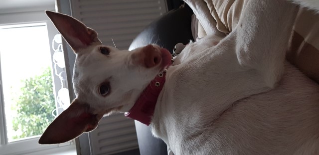 20190405_142527.jpg