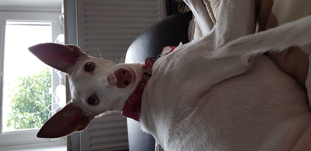 20190405_142550.jpg