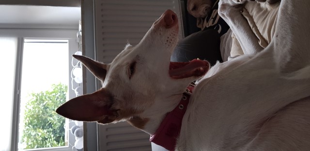 20190405_142554.jpg