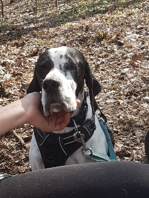 20190404_115903-640x640.jpg