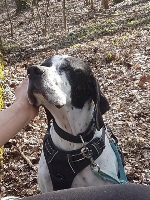 20190404_115906-640x640.jpg