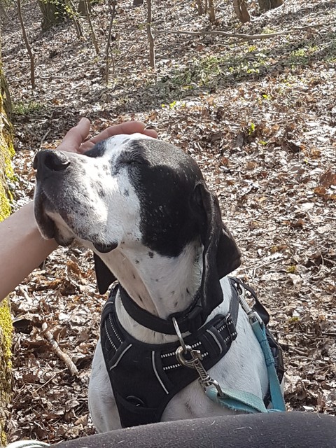 20190404_115907-640x640.jpg