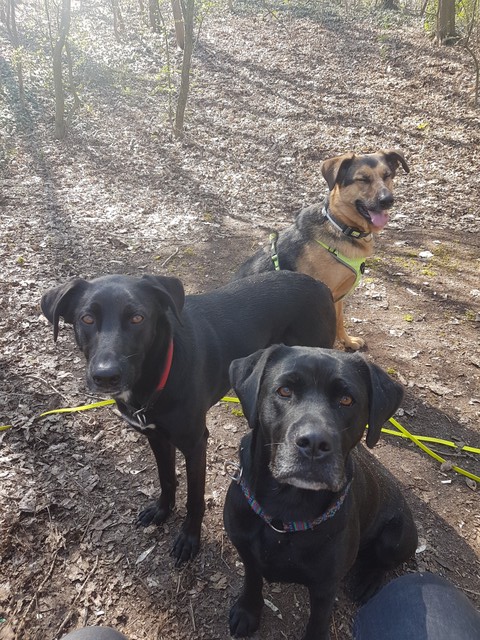20190404_115548-640x640.jpg