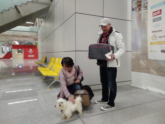 a7ce3a3c-e91c-4d39-aa32-b9e9463f4510.jpg
