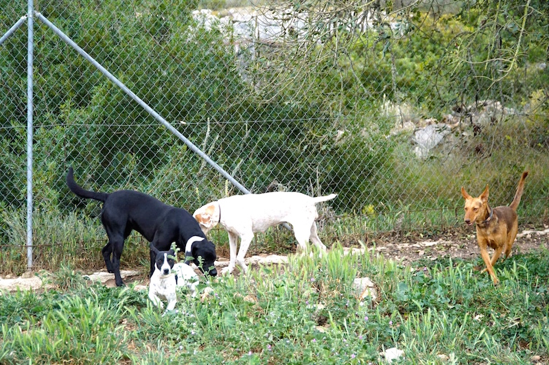 IMG_0724.JPG