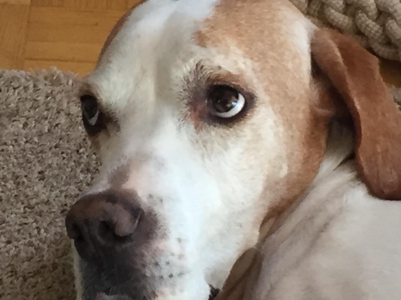 lilli9.jpg