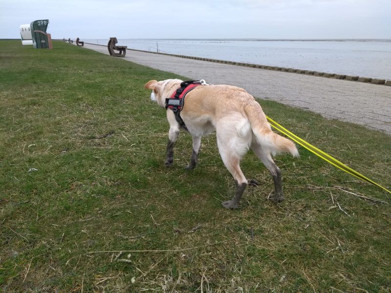 IMG-20190330-WA0011.jpg