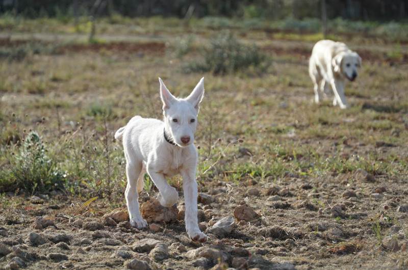 LUA_50470b49-8c53-4c17-a4aa-f1108021cdb3.jpg
