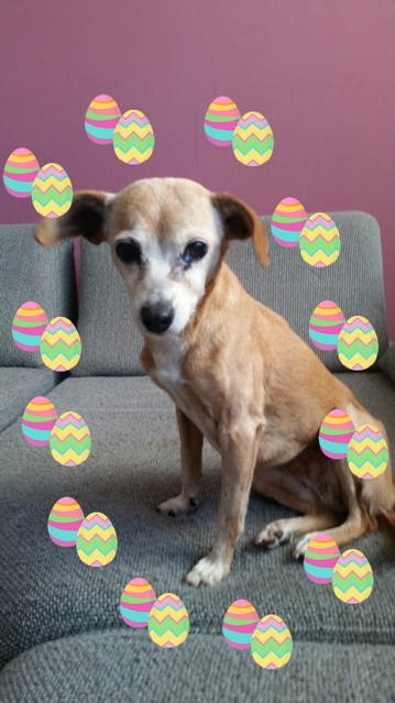 Frohe Ostern (2).jpg