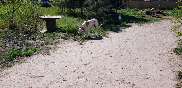 20190422_131647.jpg